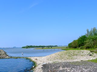 Bijna thuis en de geur van de Grevelingen in onze neus.