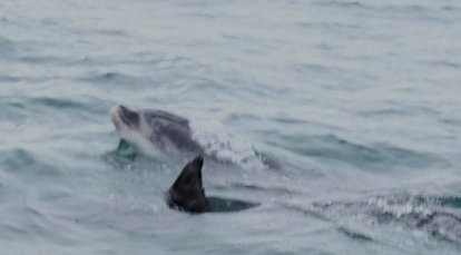 Een beetje bewogen foto.