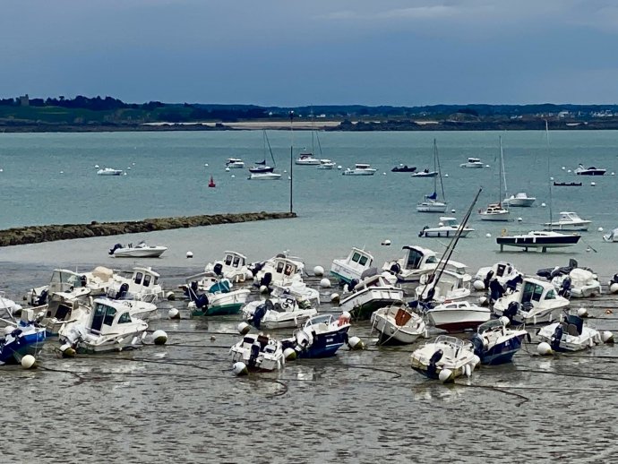 Veel bootjes op het droge.