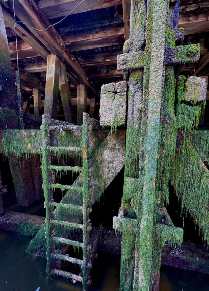 De fascinerende onderwaterwereld in Boulogne sur Mer bij laag water.