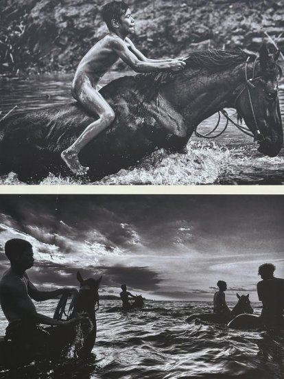 Foto tentoonstelling "Kid jockeys.". Na de race worden de paarden in zee gedreven om de spieren te ontspannen.