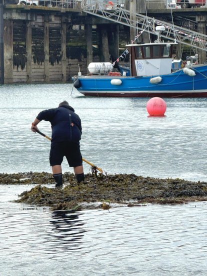 Het schooonschrapen van de sill.
