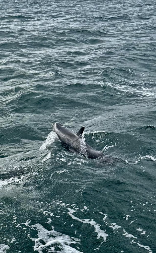 Oefening baart kunst,