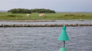 Laatste vakantiedag op de Grevelingen.
