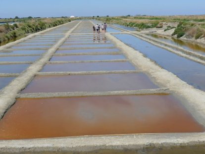 De zoutbekkens op Ile de Ré